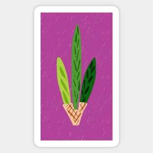 Lulav Magenta Print Sticker